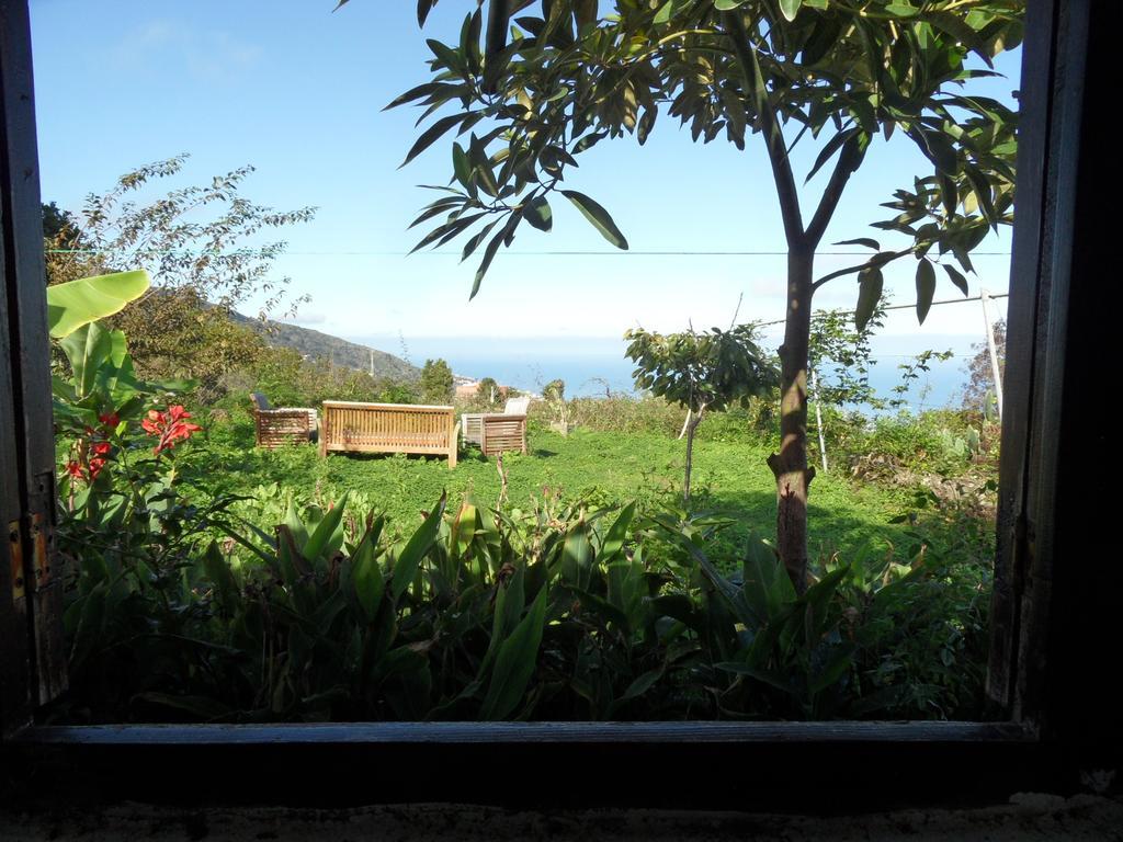 Finca Cueva Del Viento إيكود ذي لوس فينوس الغرفة الصورة