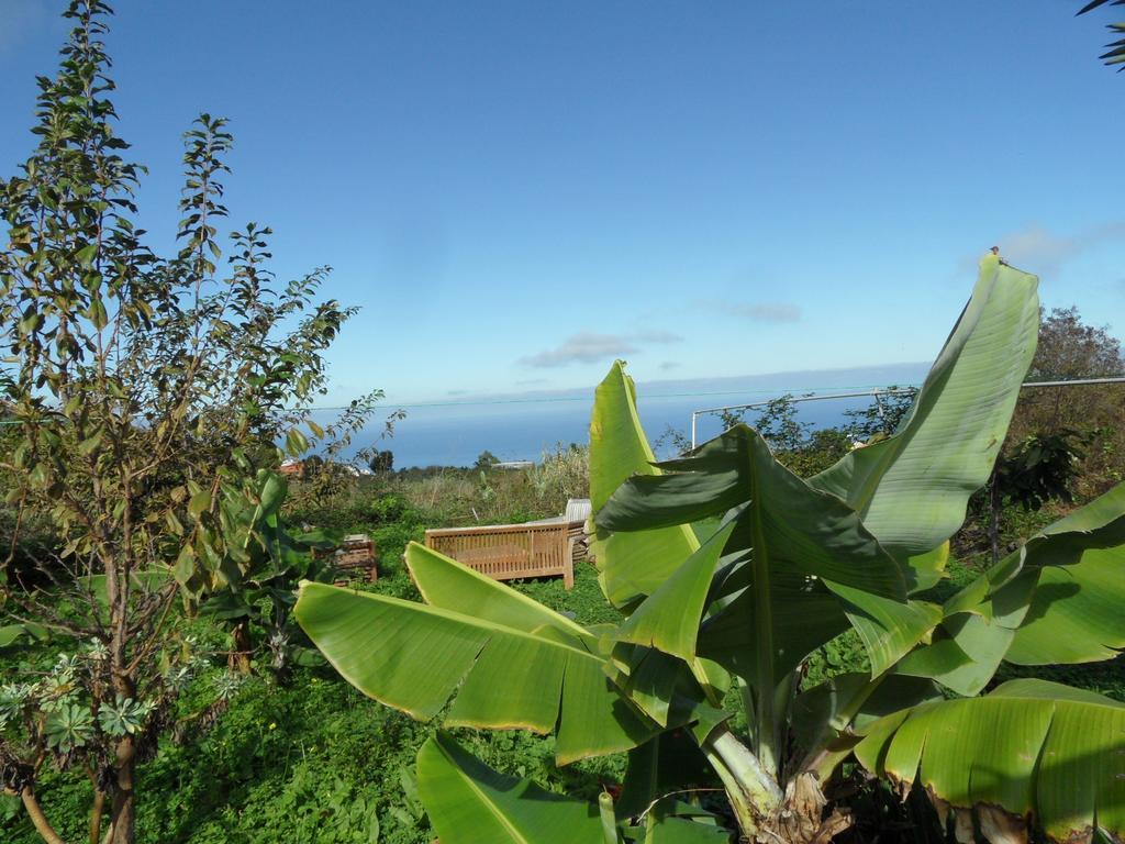 Finca Cueva Del Viento إيكود ذي لوس فينوس الغرفة الصورة